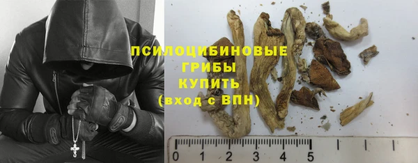 MDMA Premium VHQ Инта