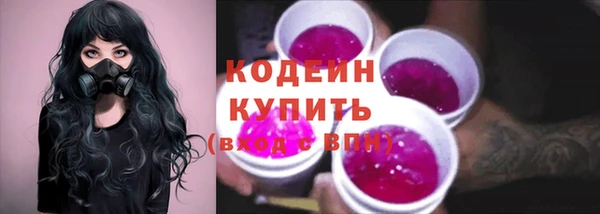 МДПВ Иннополис