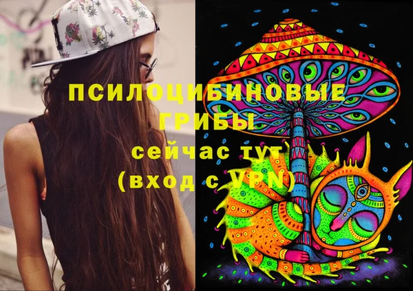 МДПВ Иннополис