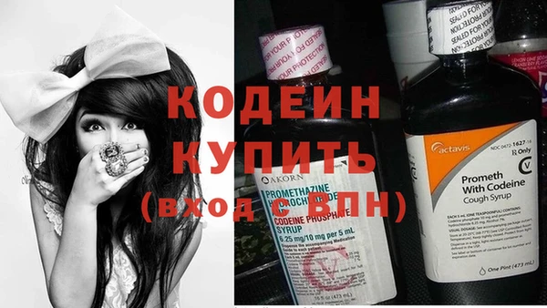 МДПВ Иннополис