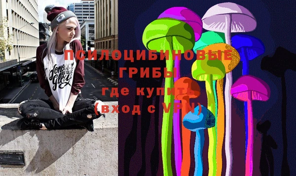 МДПВ Иннополис
