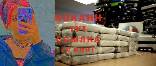 дживик Инсар