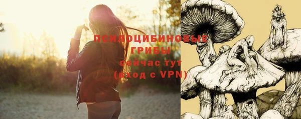 дживик Инсар