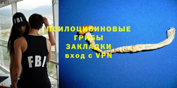 дживик Инсар